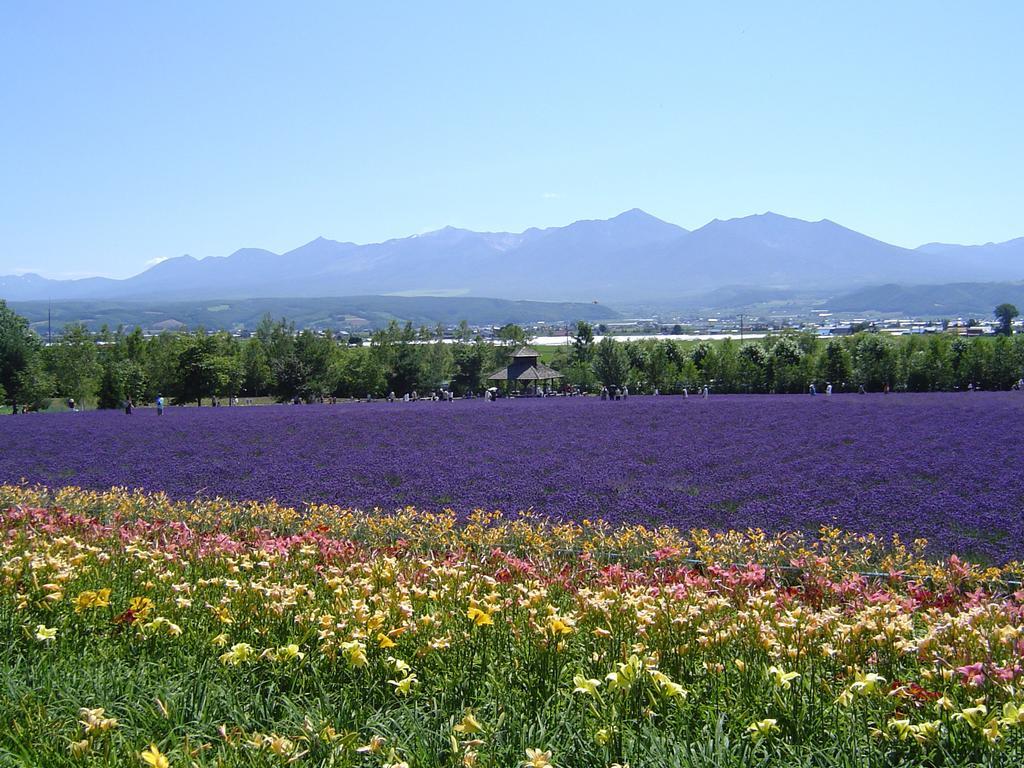 Furano Prince Hotel Exterior photo