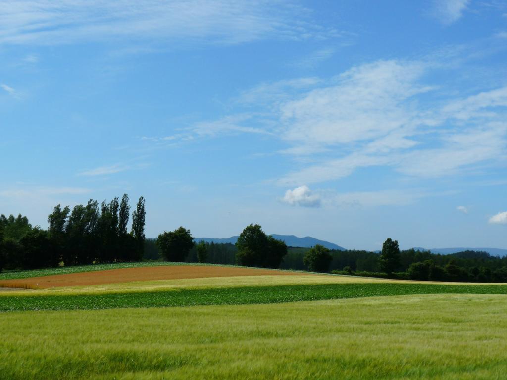 Furano Prince Hotel Exterior photo